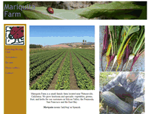 Tablet Screenshot of mariquita.com